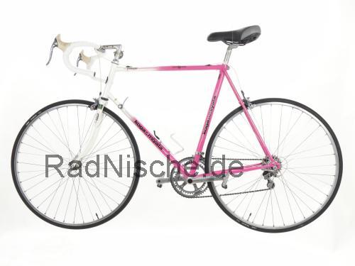Koga Miyata Prologue  technische daten 